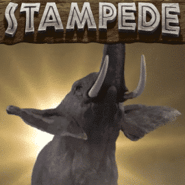 Stampede Slot