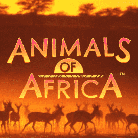 Animals of Africa Slot