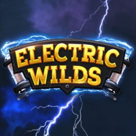 Electric Wilds