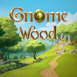 Gnome Wood Slot