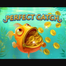 Perfect Catch