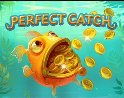 Perfect Catch