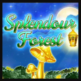 Splendour Forest