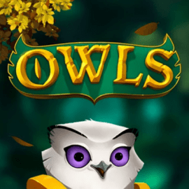 Owls Slot