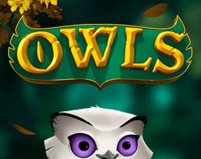 Owls Slot